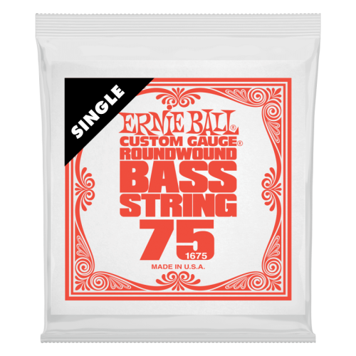 ERNIE BALL P01675