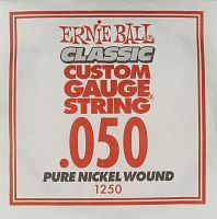 ERNIE BALL P01250